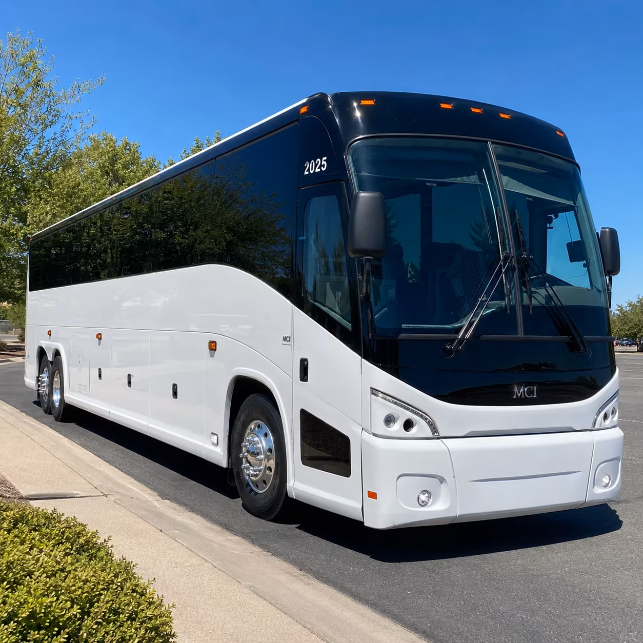 cruise transfer buses between palm bay and port canaveral